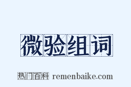 微验组词是什么意思的图片